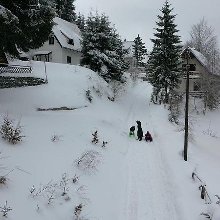 Vila Leni Kopaonik Bagian luar foto