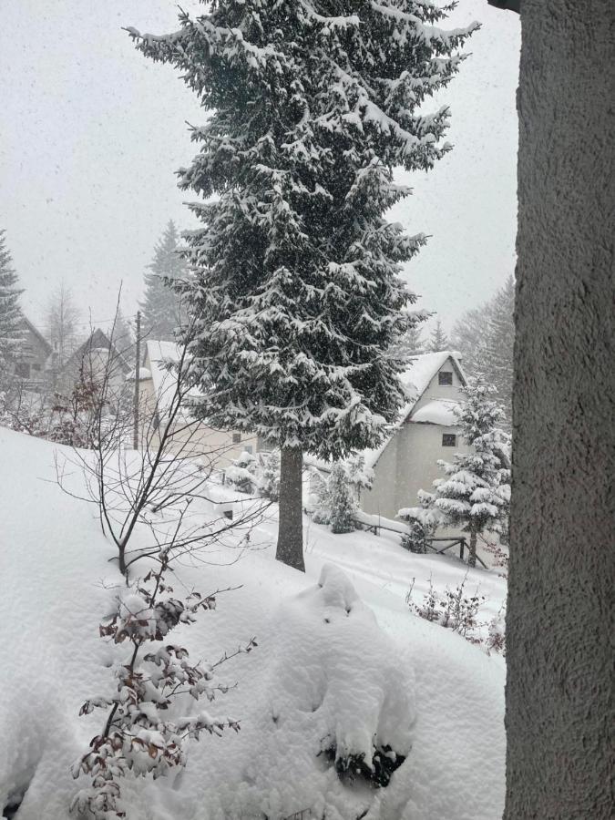 Vila Leni Kopaonik Bagian luar foto