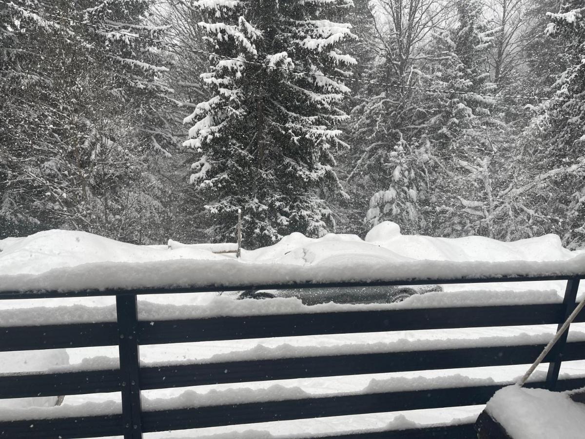 Vila Leni Kopaonik Bagian luar foto