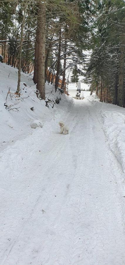 Vila Leni Kopaonik Bagian luar foto
